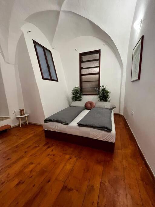 City Center Apartment 班斯卡-比斯特里察 外观 照片